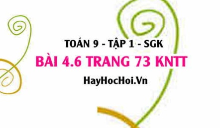 Bài 4.6 Toán 9 tập 1 SGK Kết nối tri thức